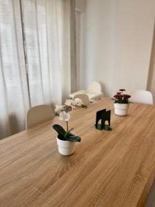 una larga mesa de madera con tres macetas. en Lucus Urban Centre, en Lugo