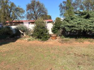 a yard with a house and some bushes and trees at Botterblom 1 in Middelburg