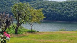 a person sitting in the grass next to a lake at Cheongna Stay in Boryeong