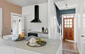 Bandholmにある3 Bedroom Awesome Home In Bandholmのキッチン(シンクとコンロ付きのカウンター付)