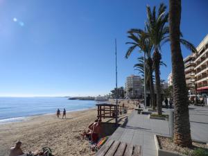 a beach with palm trees and people walking on it at Casas Holiday - Playa del Cura in Torrevieja
