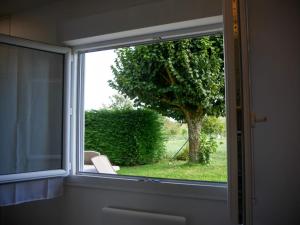 Ogród w obiekcie Le Petit Saule - Gîte entre Beauval et Chenonceau