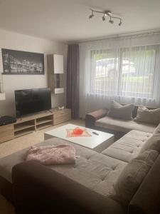 TV a/nebo společenská místnost v ubytování Am Steinberg - Söhesten
