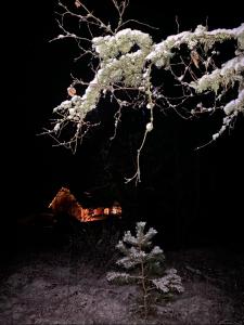 Fotografie z fotogalerie ubytování Drumguish Cottage v destinaci Kingussie