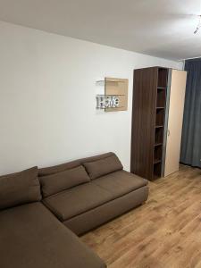 a living room with a couch and a book shelf at Garsonieră Băile Felix in Sînmartin