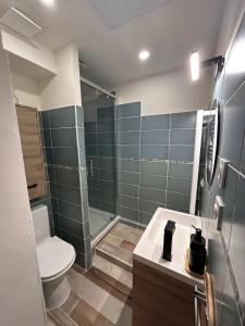 a bathroom with a toilet and a shower and a sink at Appartement charmant à Savignac-les-Ormeaux, 56 m², balcon in Savignac-les-Ormeaux