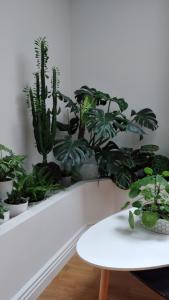 Fotografie z fotogalerie ubytování Expérience Inouïe à Orléans ! v destinaci Orléans