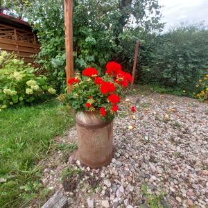 Vonkajšia záhrada v ubytovaní Mazury Home