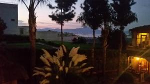 a plant in front of a window with a sunset at Eco Hotel Ixhi in Pátzcuaro