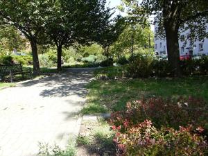 Zahrada ubytování Apartament Legionow