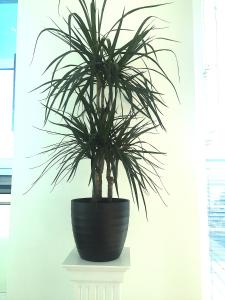 Ảnh trong thư viện ảnh của Penthouse - 2 Bed - 2 Bath - Free Parking ở Bedford