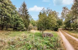 a dirt road in a field with trees at 2 Bedroom Cozy Home In Annerstad in Annerstad +13 photos