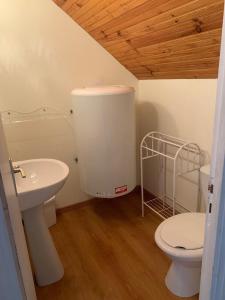 un bagno con un water e un lavandino di Lake Cottage, In A Small Village a Caurel Altre 22 foto