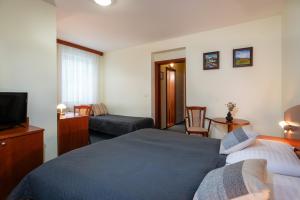 Postel nebo postele na pokoji v ubytování Horský hotel Remata