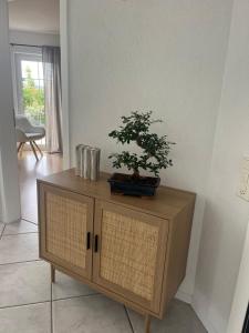 Příslušenství pro přípravu čaje a kávy v ubytování Boho appartement dans villa à Grandson