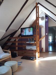 salon z telewizorem z płaskim ekranem na poddaszu w obiekcie Biały na poddaszu w Polanicy Zdroju