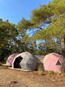 Fotografie z fotogalerie ubytování 4 Camp&Restaurant - Adult Only v destinaci Olympos