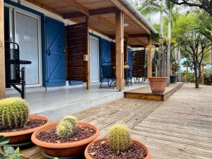 a porch with three potted plants on a wooden deck at La Tanguière - Studios 3 étoiles in Saint-Leu