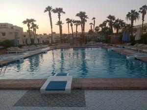 Una gran piscina con sillas y palmeras. en Elixir, en Hurghada