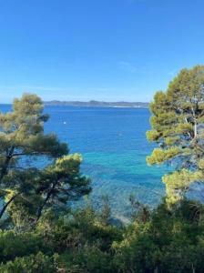 Blick auf einen großen Wasserkörper mit Bäumen in der Unterkunft Appartement Le Lavandou - Cavalière in Le Lavandou