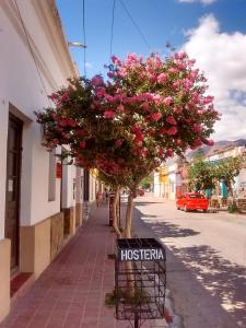 uma árvore ao lado de uma rua com flores cor-de-rosa em Hostería El Zaguan em Cafayate