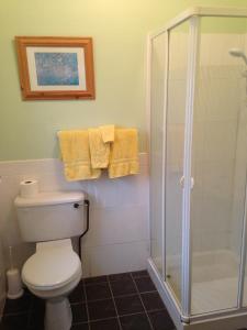 a bathroom with a toilet and a shower and towels at Kilbora B&B in Camolin