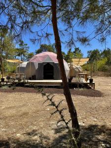 Fotografie z fotogalerie ubytování 4 Camp&Restaurant - Adult Only v destinaci Olympos
