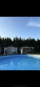 a group of camels parked next to a swimming pool at U Joanny in Kopań