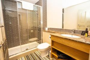 a bathroom with a shower and a toilet and a sink at The Swan Inn in Chiddingfold