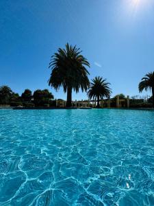 Piscina di Costa del Este o nelle vicinanze