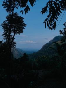 Paesaggio naturale nelle vicinanze della stanza in casa privata