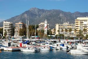 a bunch of boats are docked in a harbor at Lujoso estudio cerca del mar en Marbella centro - MARINO II 111 in Marbella