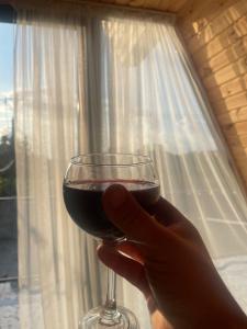 a person holding a glass of wine in front of a window at Demetra in Buknari