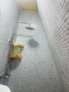 a shower in a bathroom with a tile floor at Demetra in Buknari