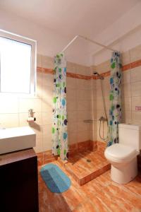 a bathroom with a shower and a toilet and a sink at Villa Christine - Maisonettes with fireplace in Aliveri +47 photos