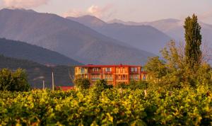 ein Gebäude auf einem Feld mit Bergen im Hintergrund in der Unterkunft Burki Castle & Cellar in Qwareli