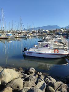 a boat is docked in a marina with other boats at Combava in Saint-Pierre
