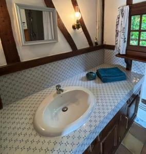 a bathroom with a sink and a mirror at Les Côtières in Maresville