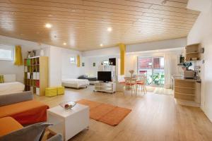 TV a/nebo společenská místnost v ubytování Ferienwohnung Nürtingen Loft-Style