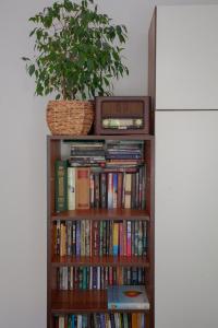 a book shelf filled with books with a potted plant at Apartment Lea in Belgrade
