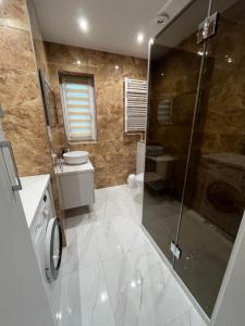 a bathroom with a shower and a sink and a toilet at Apartament nad Radunią in Kolbudy Dolne +10 photos