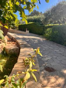 Zahrada ubytování Villa Aurea