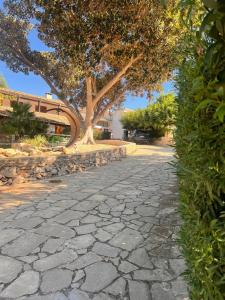 Fotografie z fotogalerie ubytování Villa Aurea v destinaci Ispica