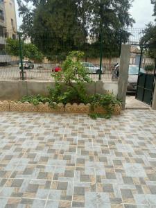 Fotografie z fotogalerie ubytování F2 pour les vacances à Alger v destinaci Surcouf + 1 fotografie