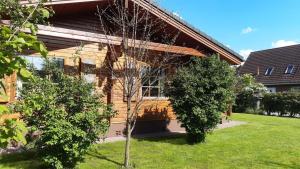 a log house with a yard in front of it at Blockhaus Ville in Thören