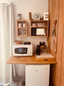 een magnetron op een aanrecht in een keuken bij La cabane du Mas gnolia in Saint-Jean-du-Gard