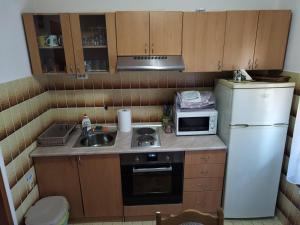 Köök või kööginurk majutusasutuses Apartment & Rooms Aleksandar
