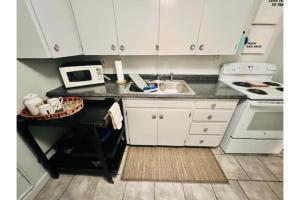 グレートフォールズにあるCharming 1-Bedroom Apartment in Great Neighborhoodのシンクと電子レンジのある小さなキッチン