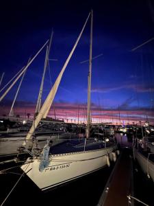 Un grupo de barcos atracados en un puerto deportivo por la noche. en Velero Draco, en Sitges