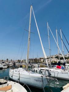 Un grupo de barcos están atracados en un puerto en Velero Draco, en Sitges
